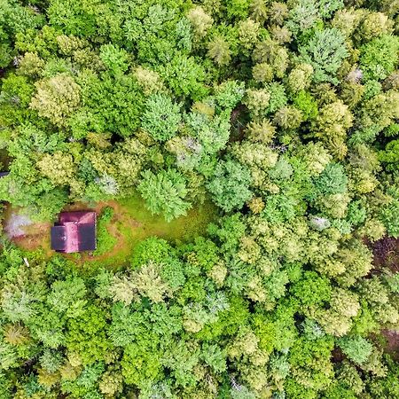 Lost Pond Cabin Schroon Lake Экстерьер фото